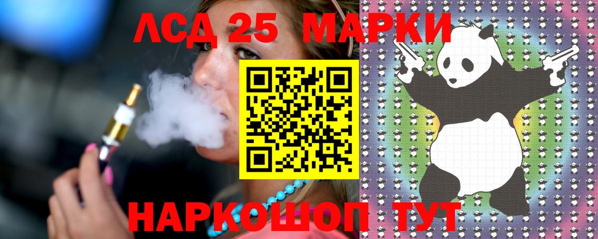 APVP Новодвинск