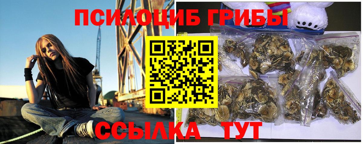 Галлюциногенные грибы мухоморы Новодвинск