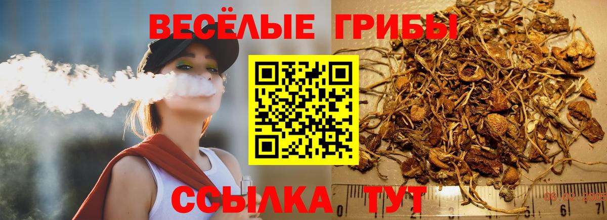 Галлюциногенные грибы MAGIC MUSHROOMS  купить  цена  Вход с VPN  Новодвинск  Псилоцибиновые грибы Psilocybine cubensis 